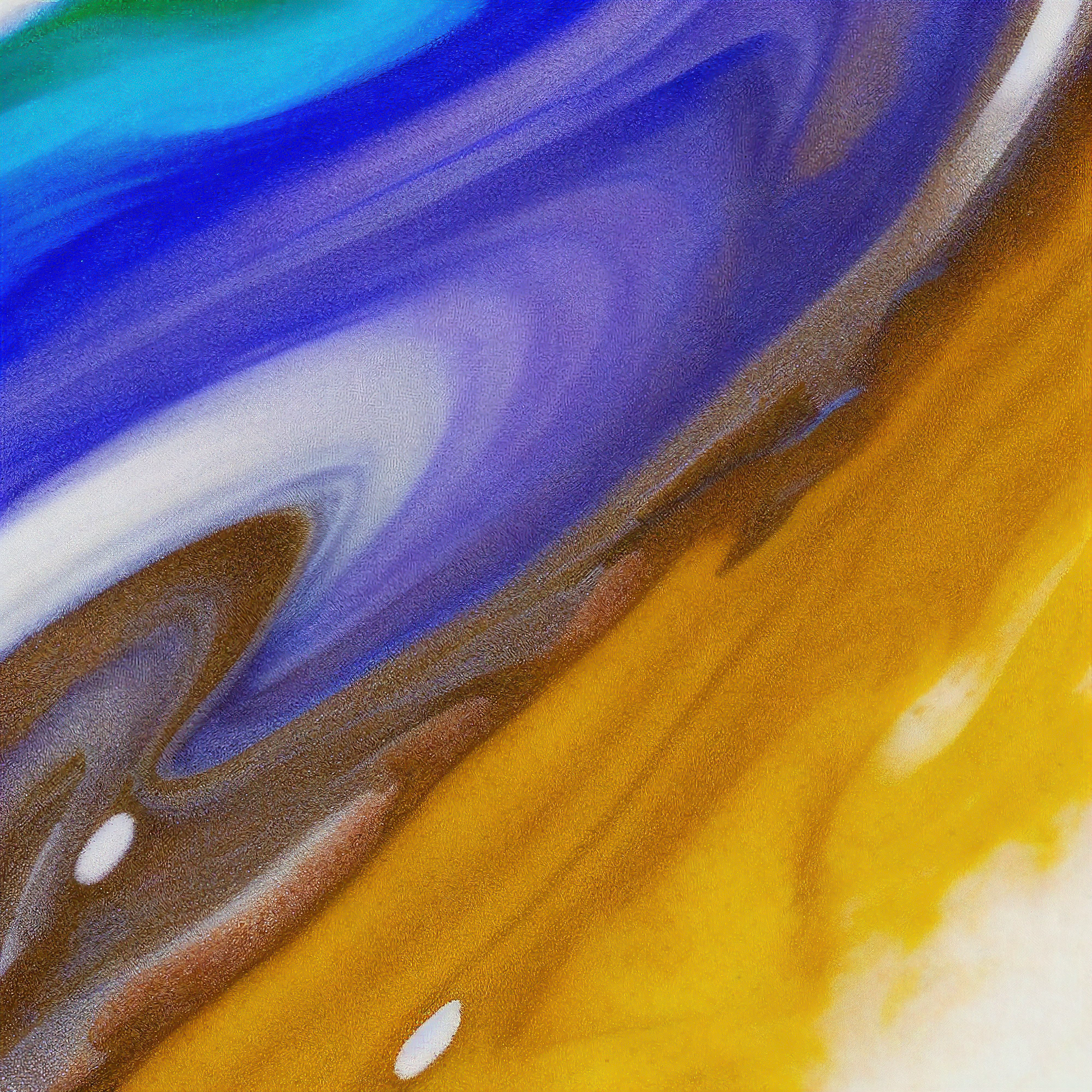 Exhibition Stall Design & Management